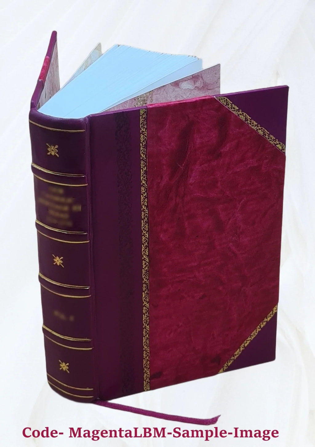 Spicilegium Romanum a cura di Angelo Mai Ss. Mm. Cyri et Iohannis Laudes et miracula 70 1840 [Leather Bound]