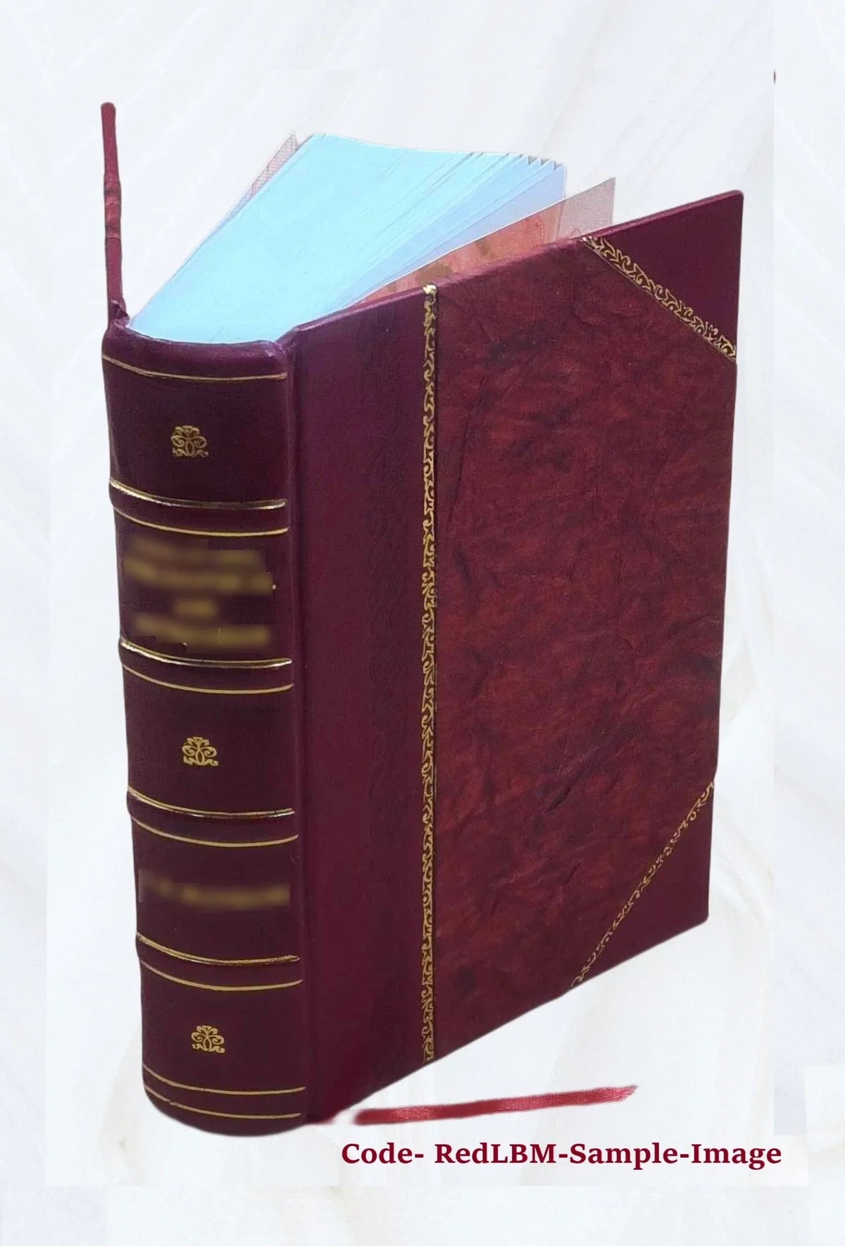 Spicilegium Romanum a cura di Angelo Mai Ss. Mm. Cyri et Iohannis Laudes et miracula 70 1840 [Leather Bound]